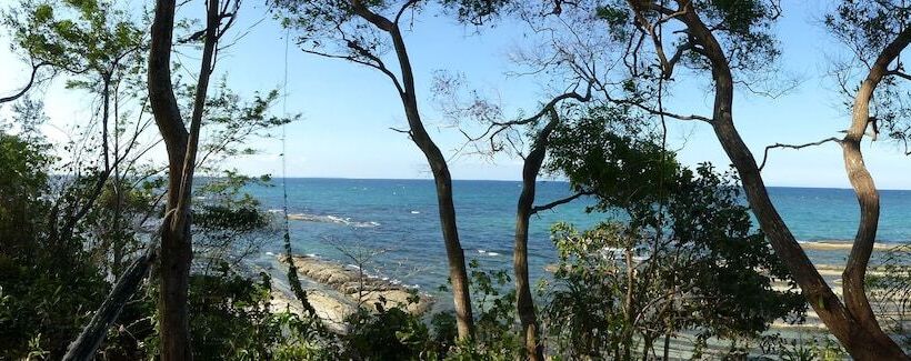 هتل North Borneo Biostation Resort