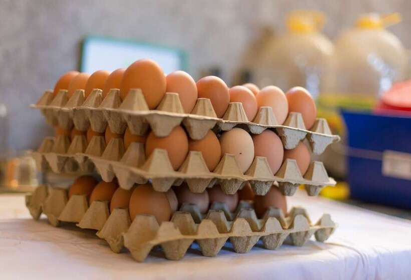 هتل Villa Margaret