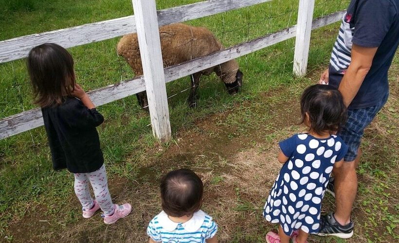 فندق صغير Guesthouse Nishiki