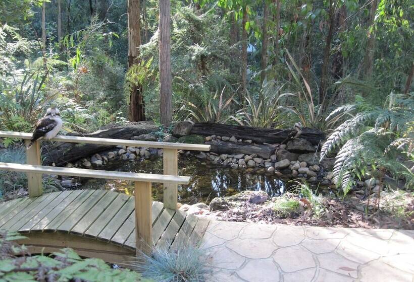 민박 Myers Creek Cascades Luxury Cottages