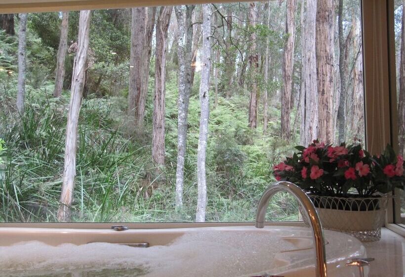 민박 Myers Creek Cascades Luxury Cottages