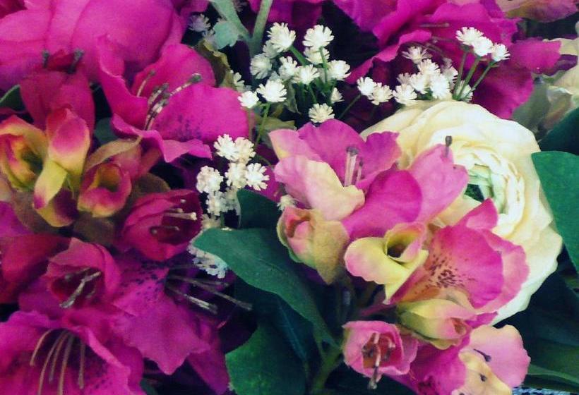 هتل Albergo Ariston