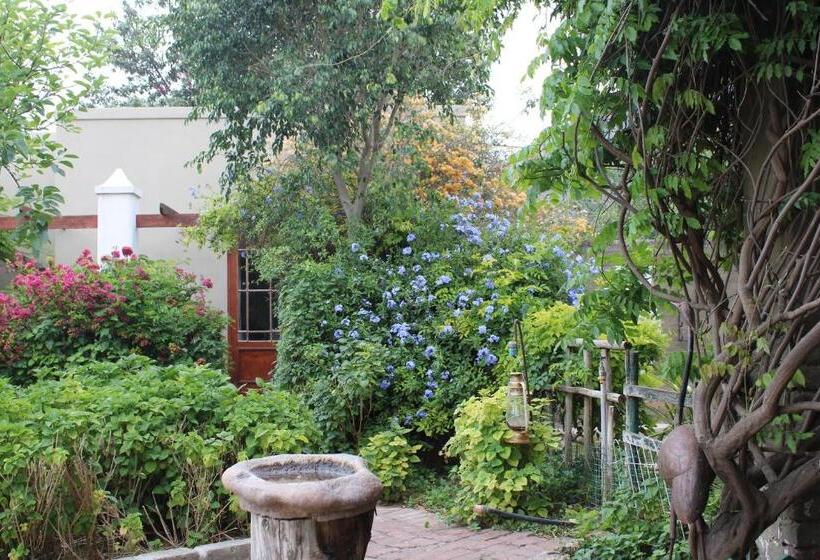 פנסיון Villa Reinet Guest House