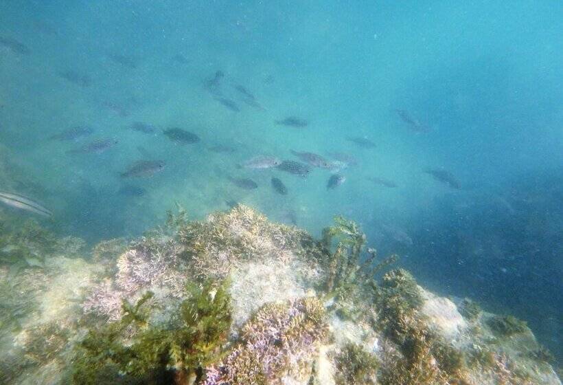 ریوکان Kaigetsu