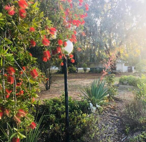 Azalea Motel