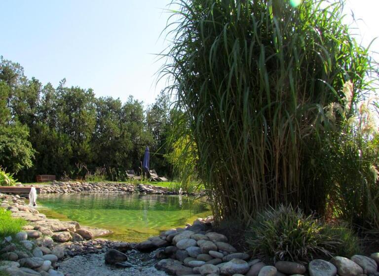 مبيت وإفطار Couleur Lavande