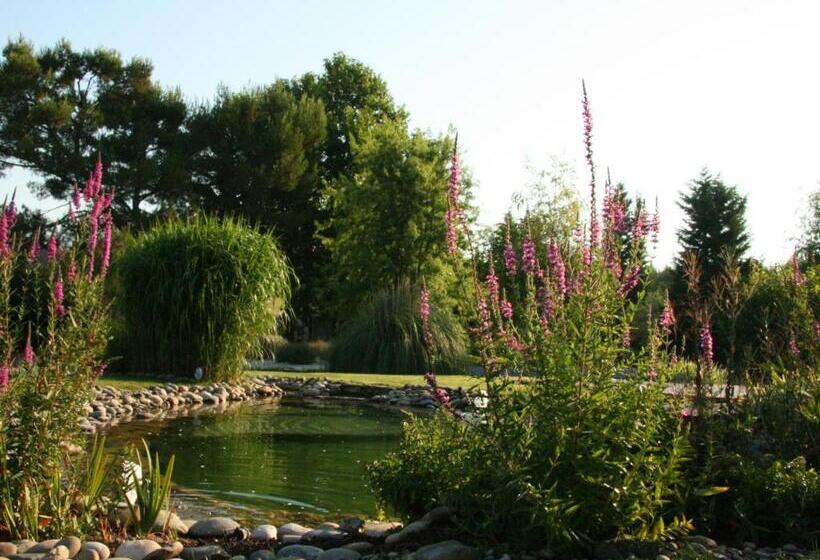 مبيت وإفطار Couleur Lavande