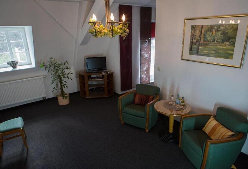 צימר Internat Schloss Spiegelberg