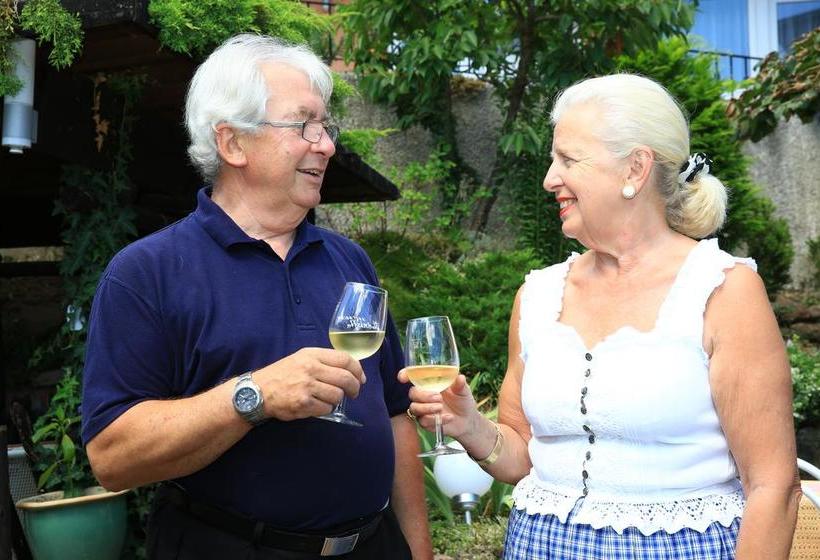 ホテル Pension Weinberg Mit Landhaus Nizza