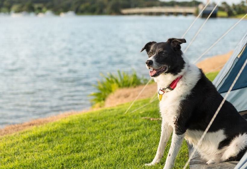 هتل Waitangi Holiday Park