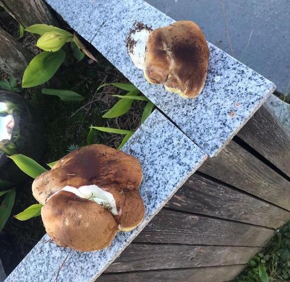 Отель Zur Neuen Post Landgasthof