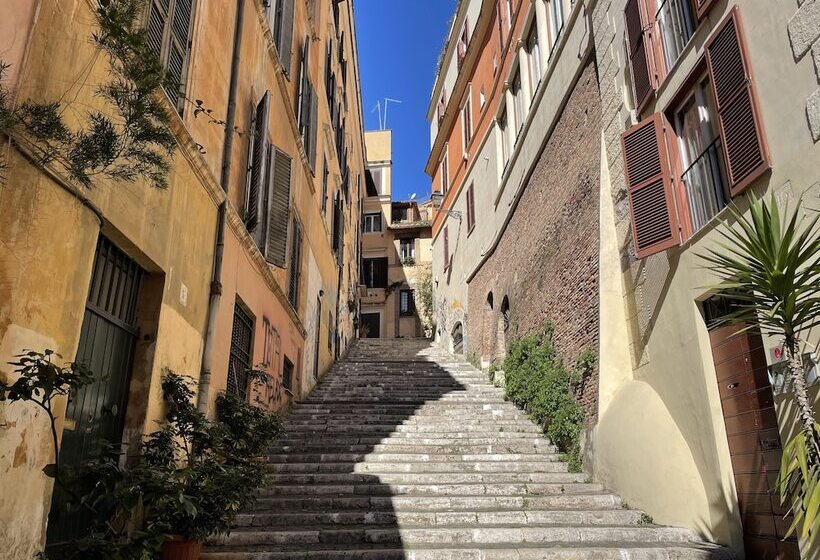 Monti Apartments   My Extra Home