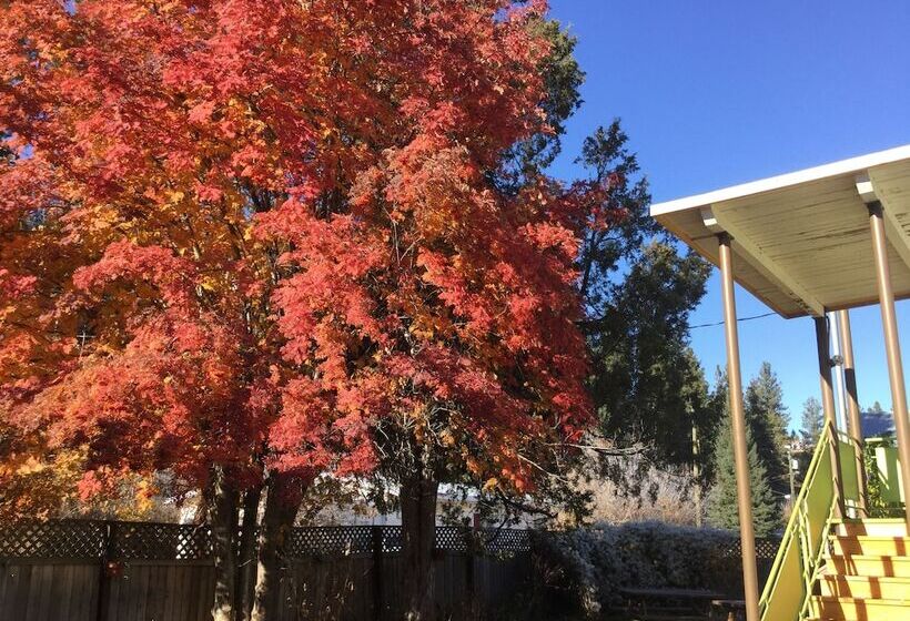 Cedars Motel