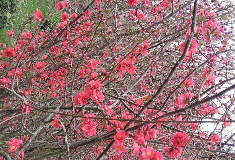 مبيت وإفطار La Maison D'isaphil