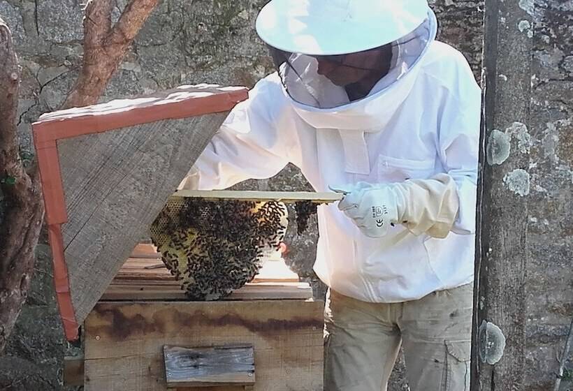 مبيت وإفطار La Maison D'isaphil