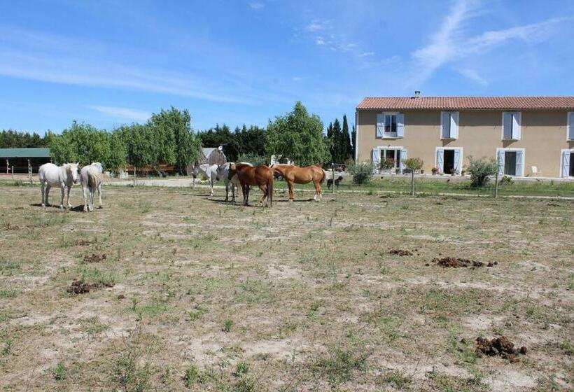 مبيت وإفطار La Sarriette   Chambres D Hôtes Et Gîte D étape à Eygalières