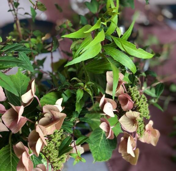 ベッドアンドブレックファースト La Villa