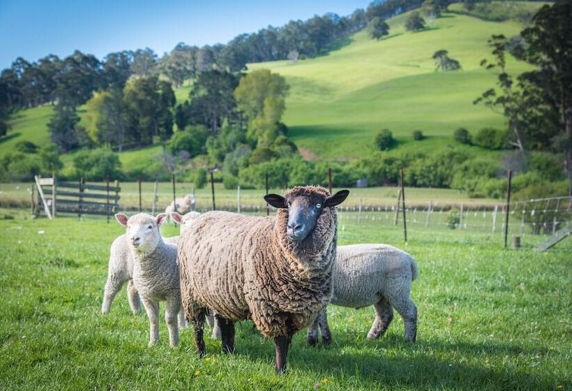 مبيت وإفطار Ashdowns Of Dover