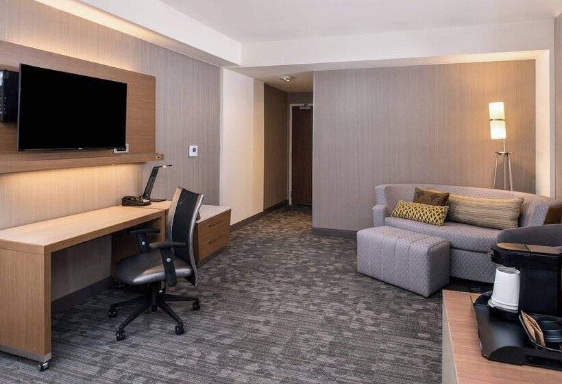 Отель Courtyard By Marriott Detroit Farmington