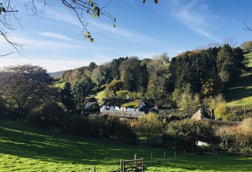 The Cridford Inn