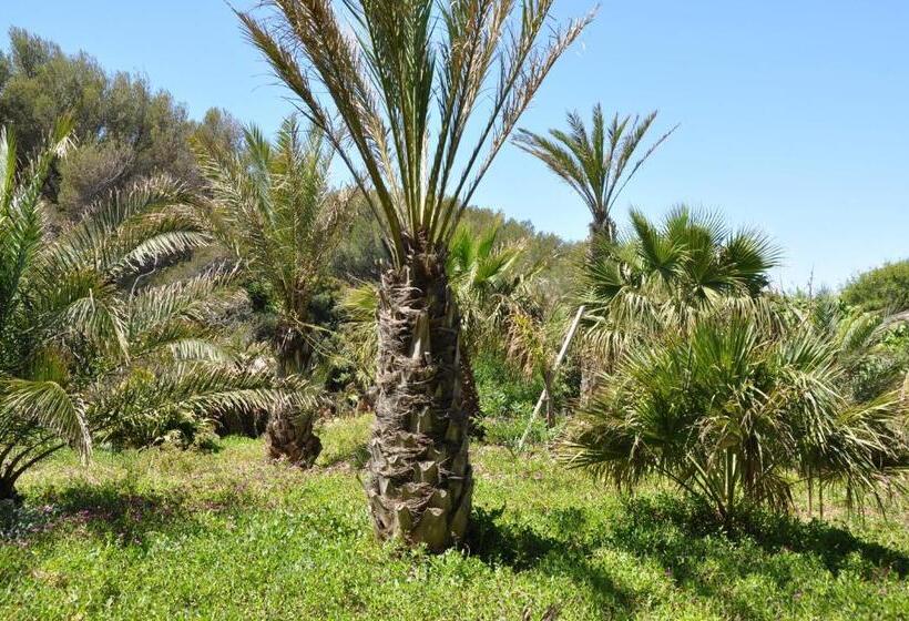 تختخواب و صبحانه Villa Hippocampe