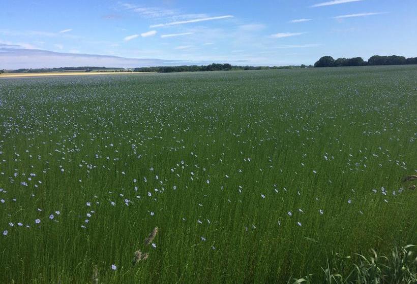 ベッドアンドブレックファースト Chambre D Hôte El Dorado
