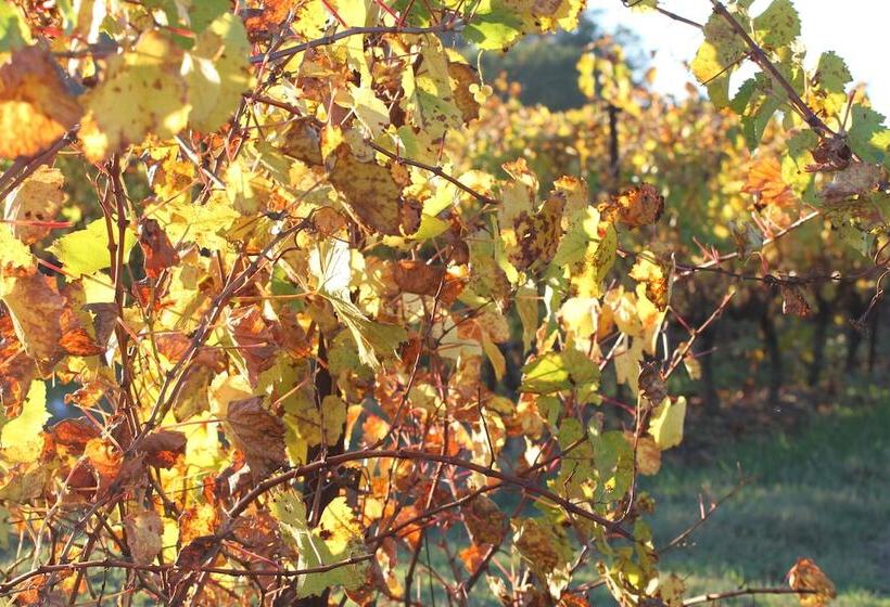 تختخواب و صبحانه Domaine De Biar