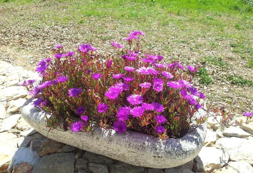 צימר Le Donjon Des Combes Et Son Spa