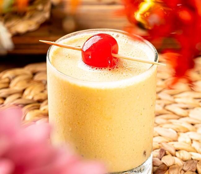 مسافرخانه Dreamer Palomino