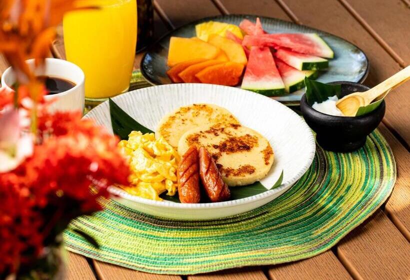 مسافرخانه Dreamer Palomino