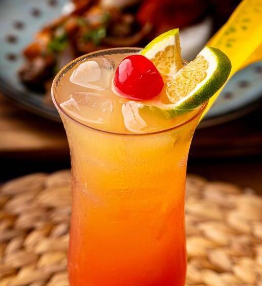 مسافرخانه Dreamer Palomino