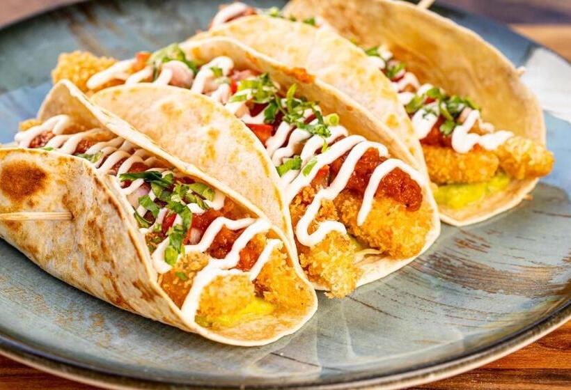 مسافرخانه Dreamer Palomino