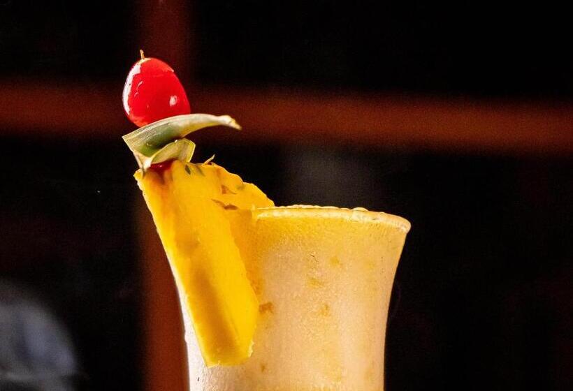 مسافرخانه Dreamer Palomino