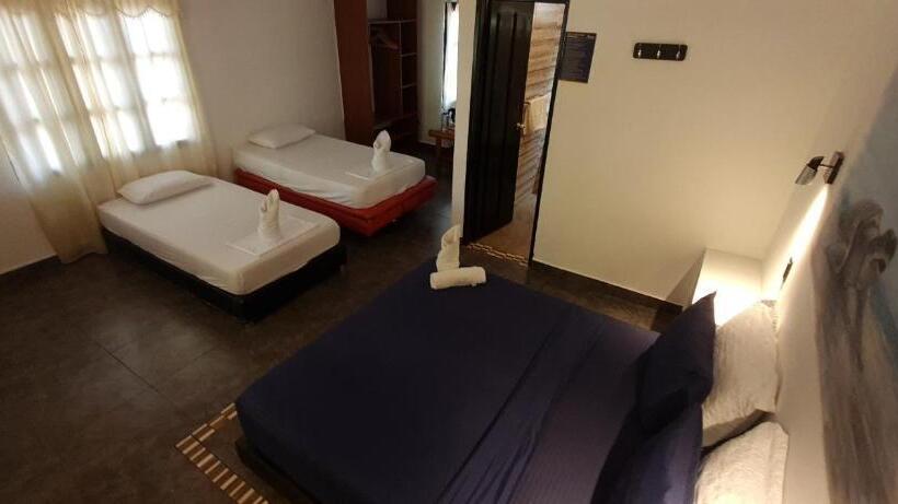 مسافرخانه Dreamer Palomino