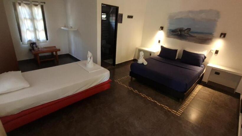 مسافرخانه Dreamer Palomino