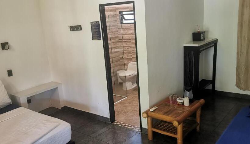 مسافرخانه Dreamer Palomino