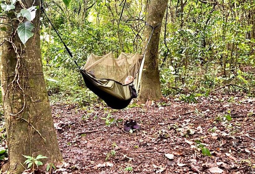 هتل Minca   La Casona