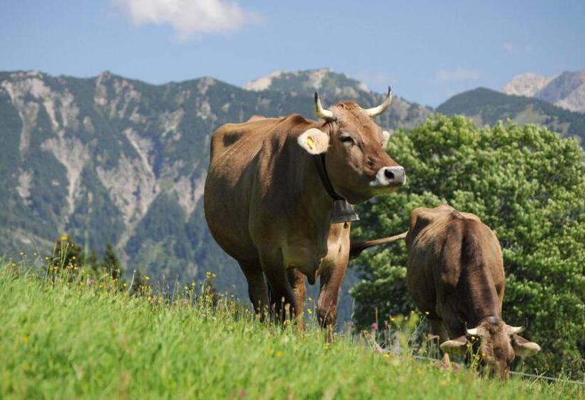 Landhotel Berghof