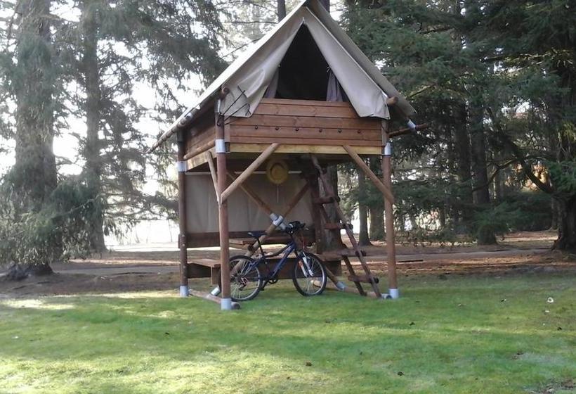 리조트 Azur Waldcamping Auwaldsee