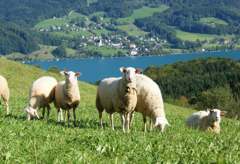 ホテル Biobauernhof Nussbaumer