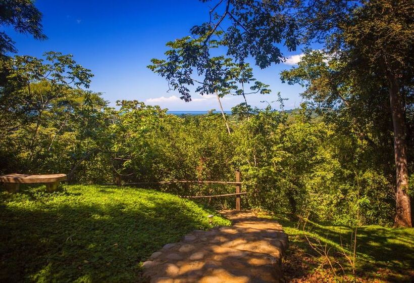 فندق Costa Rica Yoga Spa