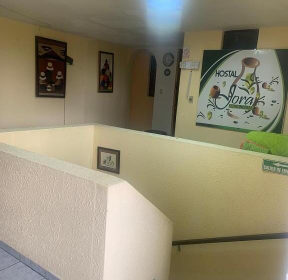 فندق Hostal Jora Continental