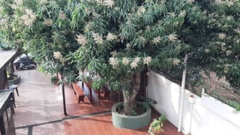 هتل Hostel & Posada Noelia