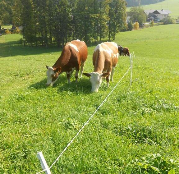 בית מלון כפרי Paulbauer