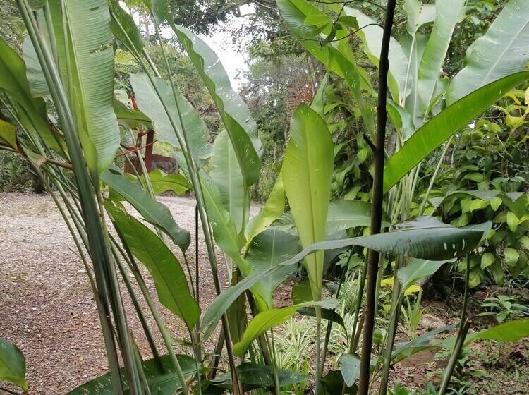 هتل Samai Lodge Holistic Living