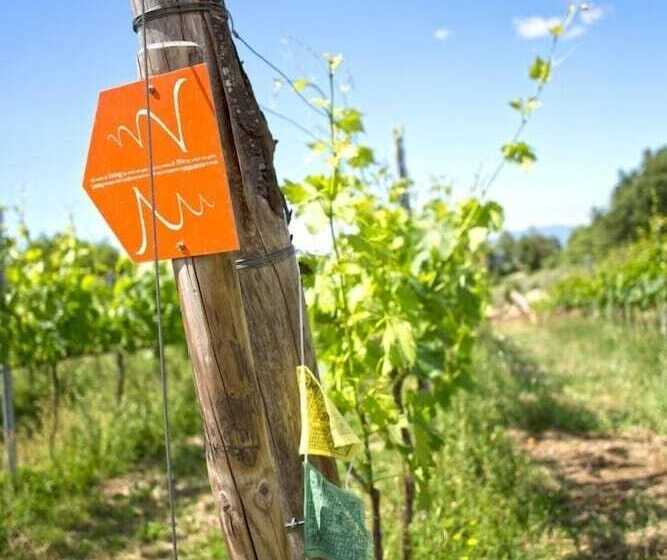 Отель Valdonica Winery Fine Dine & Wine
