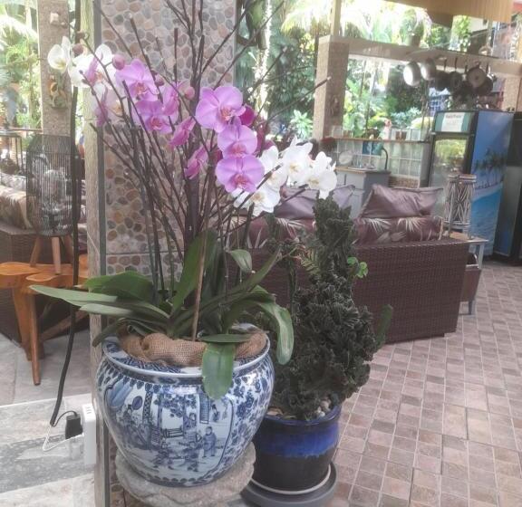 تختخواب و صبحانه Coyaba Tropical Elegant Adult Guesthouse