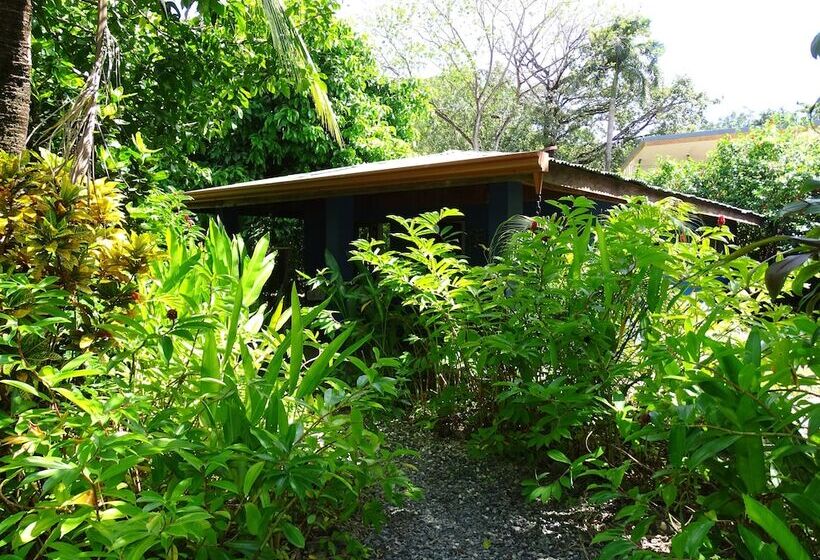 צימר Indigo Yoga Surf Resort