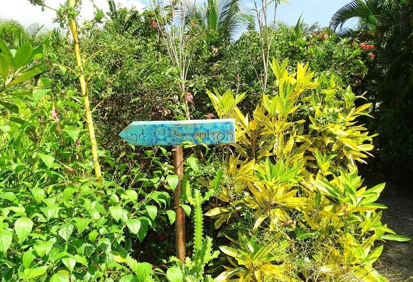 צימר Indigo Yoga Surf Resort