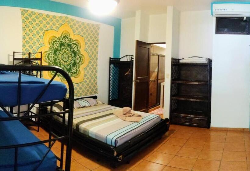Cool Vibes Beach Hostel